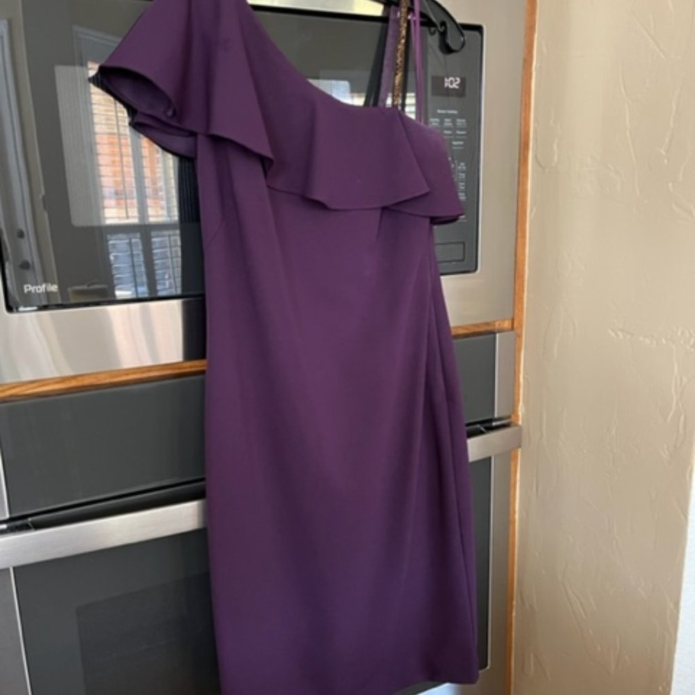 Lauren Dress Purple Size 4